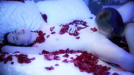 Красивый лесбийский секс с лепестками роз